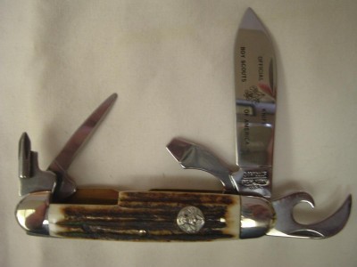 Stag Scout 037.JPG