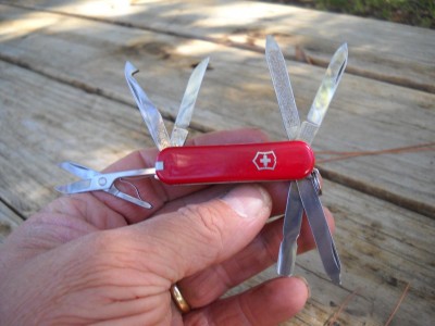 DSCN8126.JPG