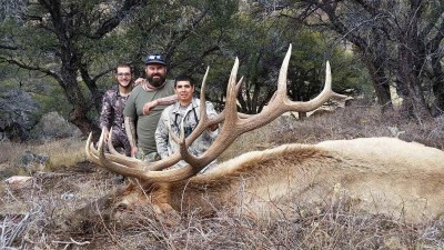Elk Hunt Jarbridge_Nevada.jpg