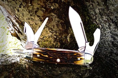 tuna-scout-stag-2014-web.jpg