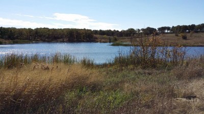 20151107_111858.jpg