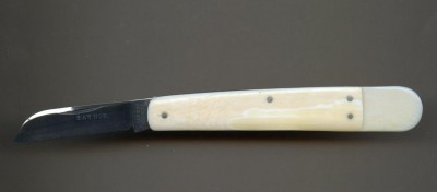 Saynor ivory bidding420.jpg