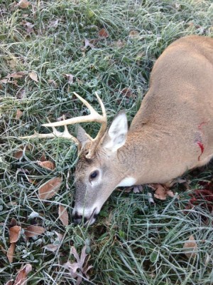 Buck%20Down.JPG