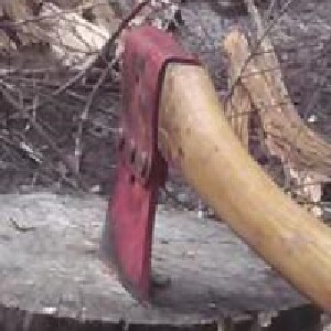 axe1.jpg