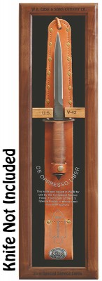 CaseV-42Display.jpg
