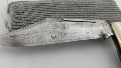 20151127_113031.jpg