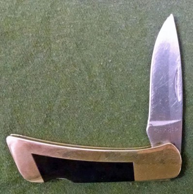 Gerber FS-1 rehab a.jpg