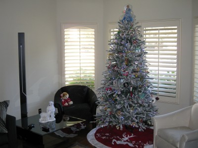 christmas 2015.jpg
