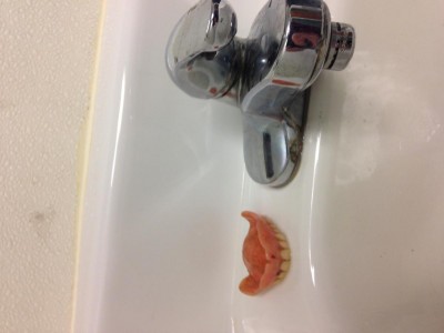 Teeth.JPG