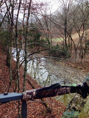 Tree stand view 2.jpg