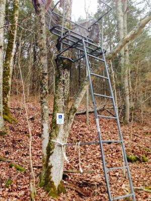 Handicap tree stand.jpg