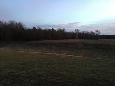 IMG_7818.JPG