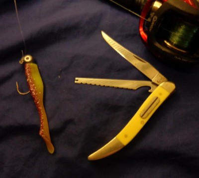 Case1.jpg