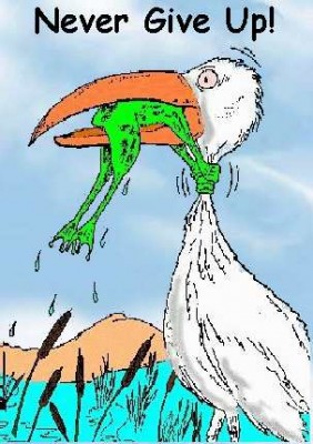 never-give-up-frog.jpg