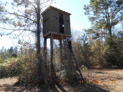 This shootin' house needs a set of stairs instead of a ladder.  That's the grandsons climbing in it last year.