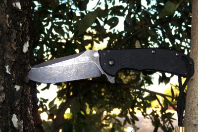 ZT0566BW treed.jpg