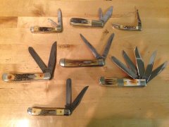 Case Stags