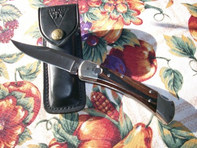 1999 Buck 110 converted 001.JPG