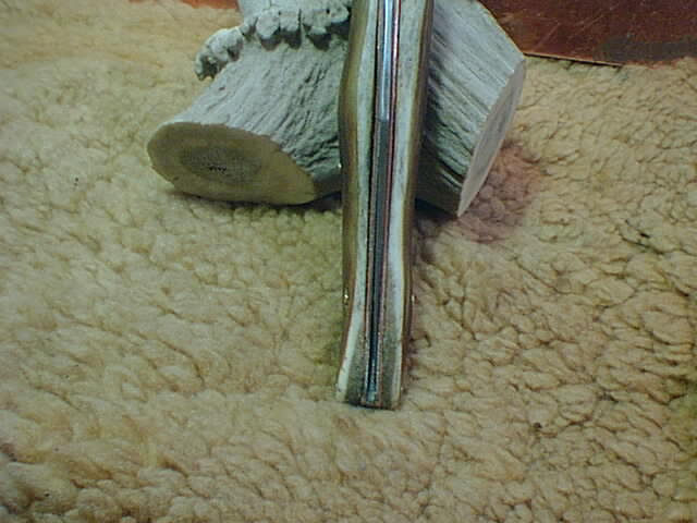 01010005.JPG