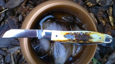 WP_20160113_13_45_18_Pro.jpg