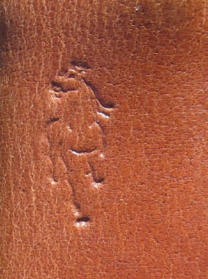 IMG_4252 crop.jpg