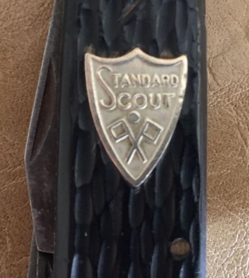 Standard Scout.jpg