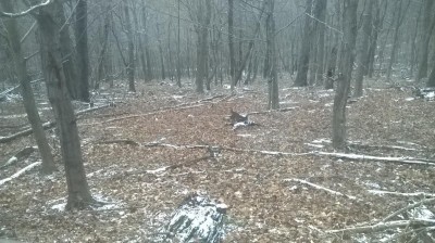 WP_20160117_024.jpg