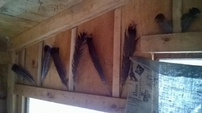 WP_20160117_015.jpg