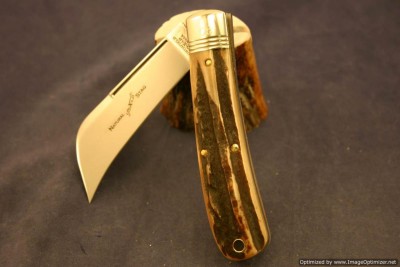 GEC STAG.JPG