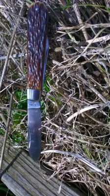 WP_20160122_12_51_39_Pro.jpg