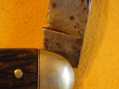 RIMG0212.JPG
