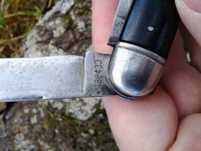 robesontang.jpg
