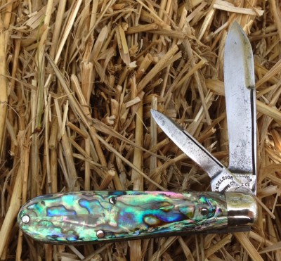Excelsior Abalone 1.jpg