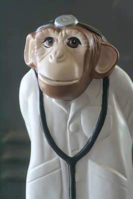 Doctor Monk.jpg