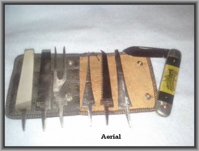 aerial.jpg