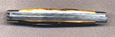 img465.jpg