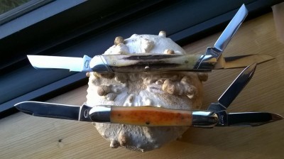 WP_20160225_08_03_01_Pro.jpg