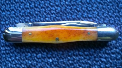 WP_20160225_14_32_11_Pro.jpg