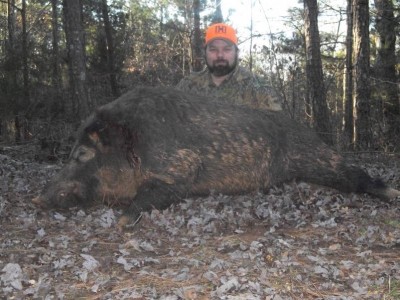 BIG HOG  ___ 310 pounder.jpg