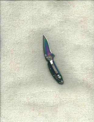 Kershaw Rainbow Chive.jpg