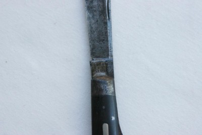 couqanoc3.jpg