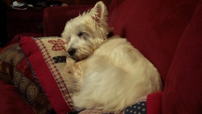 IMG_20160107_091319.jpg