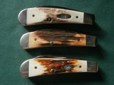 Case Stag Swaybacks