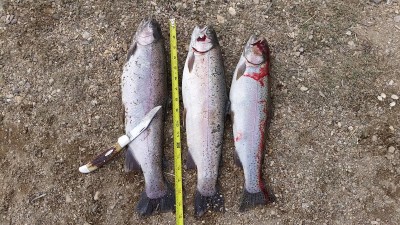 20160327_102407.jpg