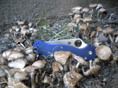 DSCN3809.JPG