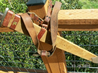 PICT0004.JPG