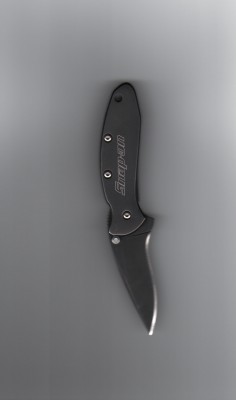 Kershaw Snap-On Chive.jpg
