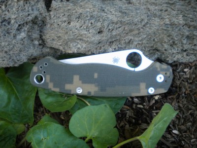 DSCN4110.JPG