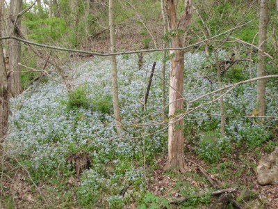 IMG_3630.JPG
