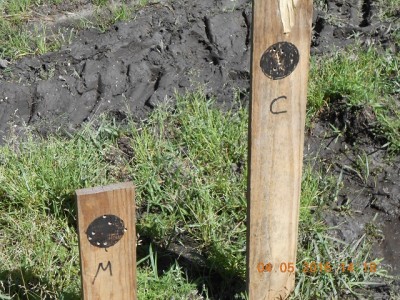 We made some make shift targets out of 1X4 scrap and put a black circle on it, their initial to show their target and a clip of 7 rounds.